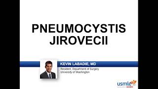 USMLERx Express Video of the Week Pneumocystis Jirovecii [upl. by Anirbes750]