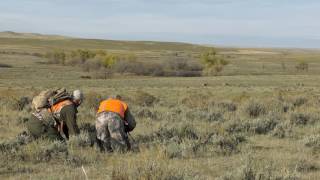 Eastmans Hunting TV  2016 Eastmans Hunt Winner Mule Deer  Outdoor Channel [upl. by Leboff115]