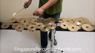 Zildjian Crotales 2 Octaves for Rental [upl. by Ardnosac]