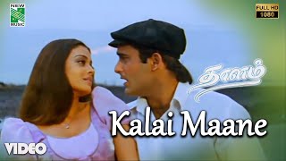 Kalai Maane Official Video  Full HD  Thaalam  ARRahman  Akshaye Khanna  Aishwarya rai [upl. by Daloris]