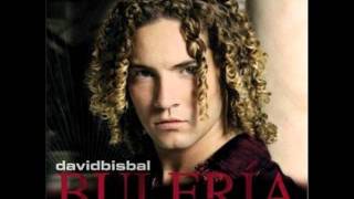 David Bisbal  Permítame señorawmv [upl. by Lavotsirc]