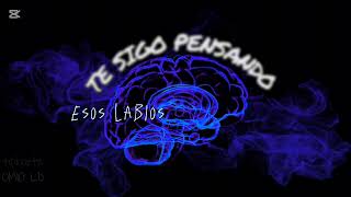 El Tipho ft Omio LD  Te Sigo PensandoVideo Lyric [upl. by Loise]