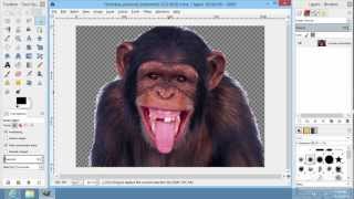 How to Erase to Transparency in GIMP [upl. by Ominoreg]