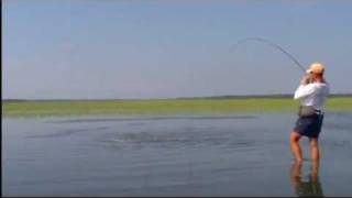 Tailing Redfish  Red Hot Fishing Action in Beaufort SC [upl. by Vijar]