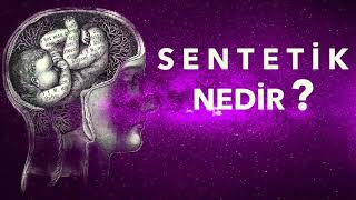 SENTETİK NEDİR  Felsefe Terimleri [upl. by Releehw]