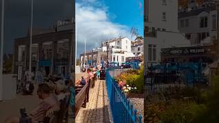 A fine day in Brixham Harbour brixham harbour devon britishcoast shorts [upl. by Hamaso148]