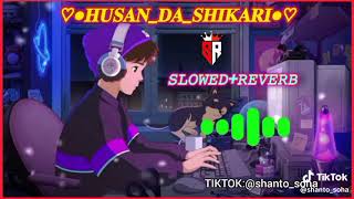 Husan Da Shikari new sad song slowed  reverb Bangla sad song tiktok tik tok sad song [upl. by Anauj]