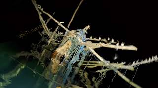 eps39 Night Spearfishing Bucas Grande Island [upl. by Ayotaj]