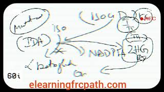 idh frcpath glioma NADPH 2HG [upl. by Eikcid]