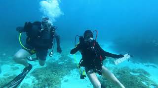 Scuba diving of Key Largo  2024 [upl. by Meave]