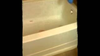 Fiberglass Shower Stall Refinish [upl. by Sassan]