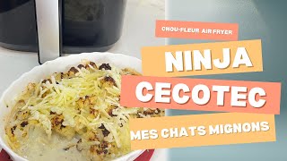 Choufleur 🌱 au Air Fryer  Ninja Cecotec Cosori amp mes chats trop mignons [upl. by Dhumma]