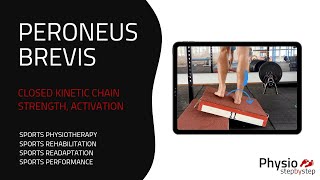 PERONEUS BREVIS  Closed Kinetic Chain Strength Activation [upl. by Alliuqahs]