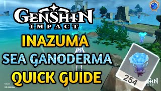 74 Inazuma sea ganoderma location Farm Spot  Genshin impact 20 [upl. by Hilaria569]