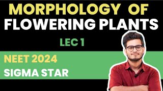 Class Xl  Morphology of Flowering Plants L1  Sigma Star ⭐ Neet 2024  Dr Vipin Kumar Sharma [upl. by Anahgem]