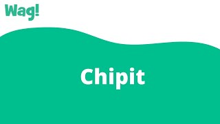 Chipit  Wag [upl. by Sallie]