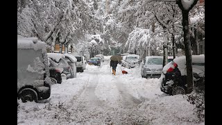 العاصفة الثلجية في كيبيك❄️ شوف واش تقدر تعيش فهاذ الظروف🌨tempête de neige QuébecCanada 13012024🇨🇦 [upl. by Genisia688]