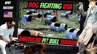 Dog Fighting USA  Old APBT Documentary  GAMEDOG [upl. by Osnofedli]