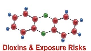 Dioxins amp Exposure Risks [upl. by Erehs412]