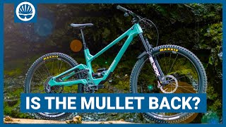 5 Mullet Mountain Bikes That Prove Mixed Wheels  Maximum Fun [upl. by Sarkaria]