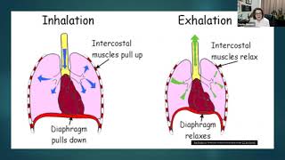 MDA Engage Maintaining Breathing Function with a Neuromuscular Disease [upl. by Clarance]