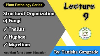 Fungal Cell  Structural Organisation of Fungi  Thallus  Hyphae  Mycelium by Tanisha Gangrade [upl. by Esdnil]