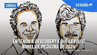 NOBEL DE MEDICINA Natália Pasternak explica por que pesquisa sobre genética ganhou o prêmio [upl. by Adair]