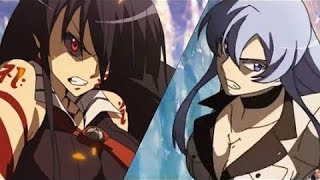 Amv Akame vs Esdeath [upl. by Flossy]