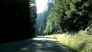 Port Angeles to Hurricane Ridge Olympic National Park Time Lapse Drive [upl. by Baker]