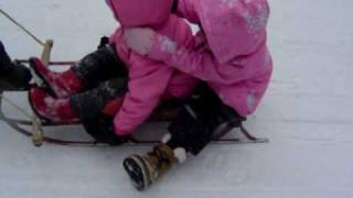 Sledding on 5th St [upl. by Netti232]