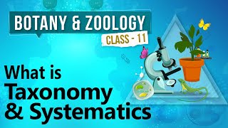 What is Taxonomy and Systematics  Diversity in Organisms  Biology Class 11 [upl. by Cal]