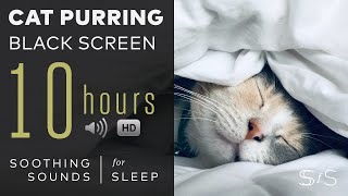 Cat Purring  10 Hours  Black Screen  Soothing Sounds Relax Study Calming [upl. by Van870]