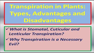 Transpiration in Plants Types Advantages and Disadvantages [upl. by Hgielah250]