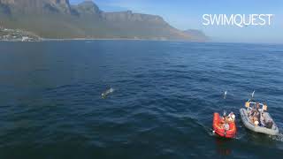 SwimQuest Holidays South Africa [upl. by Eldnek]