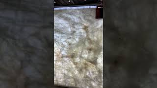 Lucent Quartzite Demonstration of the light transmission effect quartzite quartzcountertops [upl. by Root15]