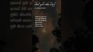 මගේ පුංචි රෝස මලේ  Mage punchi rosa male lyrics amarasiripeiris sedesigner lyrics [upl. by Inig496]