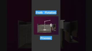 Froth Flotation process  class 12 chemistry  metallurgy  vk chemistry lab [upl. by Kronfeld]