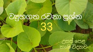 Structured Essay 33  Agricultural Science for Advance Level Examination Sinhala medium [upl. by Elery805]