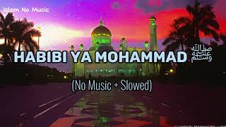 Habibi Ya Mohammad  NO Music  Slow Reverb  Mind Relaxation Naat [upl. by Ayana657]