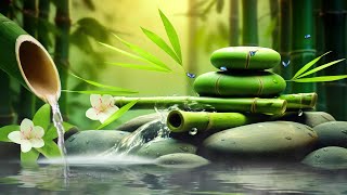 Relaxing Sleep Music  Insomnia Stress Relief Relax Sleep Spa amp Meditation Music Heart Healing [upl. by Anissa252]