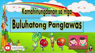 COT  CLASSROOM OBSERVATION Grade 1 Health  PART 2 [upl. by Rennat]