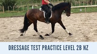 Dressage Test Practice 2B NZ [upl. by Constantin416]