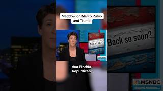 Maddow on Marco Rubio and Trump [upl. by Ilsa883]