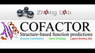 Protein Structurebased Function PredictionCofactor Zhong Lab Server bioinformatics biochemistry [upl. by Lorne]