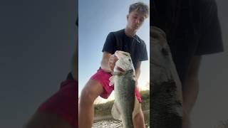 Subscribe for more fishing bassfishing [upl. by Lamaj679]