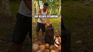 Air Kelapa dikasih wadah penampung kelapa [upl. by Sochor]