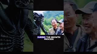 How did Xenomorph Village achieve prosperity through human farming film predator movie [upl. by Mathis593]