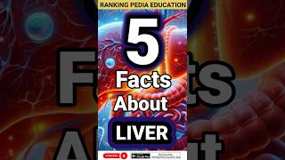 5 Facts about Liver  Liver Function liver liverchapterliverdisease fuctionofliverliversymptoms [upl. by Eanal706]