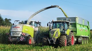 Agromeccanica Assanelli  Mais Silage  Claas Jaguar 960  DeutzFahr [upl. by Charyl818]