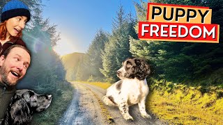 PUPPY FREEDOM Leaving The Cottage For The First Time  Isle Of Skye Scottish Highlands Ep55 [upl. by Ethelred9]